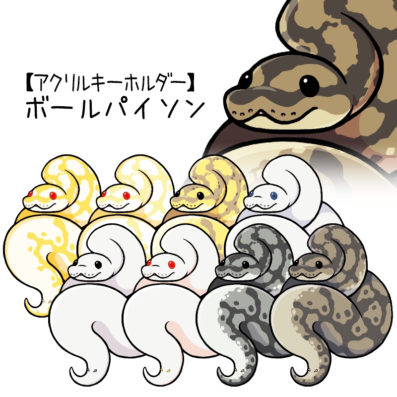 【ステッカー】ボールパイソン(9種類)