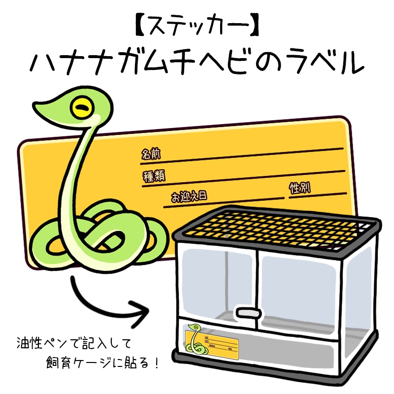 【ラベルステッカー】ハナナガムチヘビ