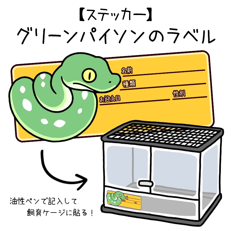 【ラベルステッカー】グリーンパイソン(８種類)