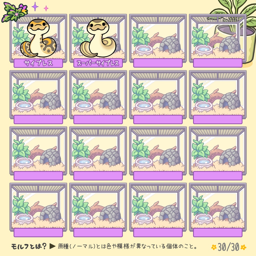 【スマホステッカー】ボールパイソン(30種類)