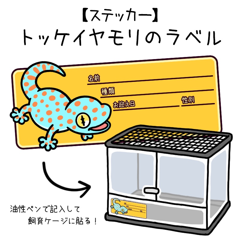 【ラベルステッカー】トッケイヤモリ(13種類)