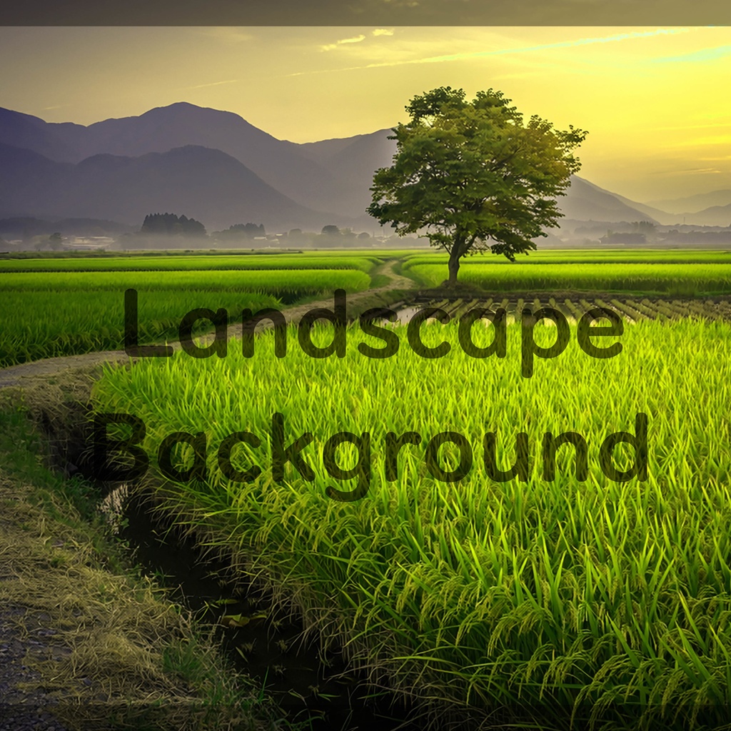 01_一本木の田園風景背景|静かな日本の夕景(4色セット)