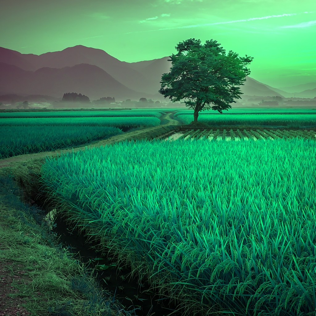 02_一本木の田園風景背景|静かな日本の夕景(4色セット)