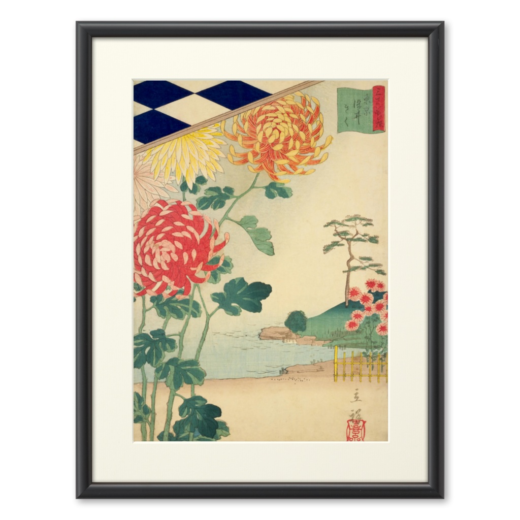 浮世絵｜２代目 歌川広重「東京染井きく（三十六花撰）」