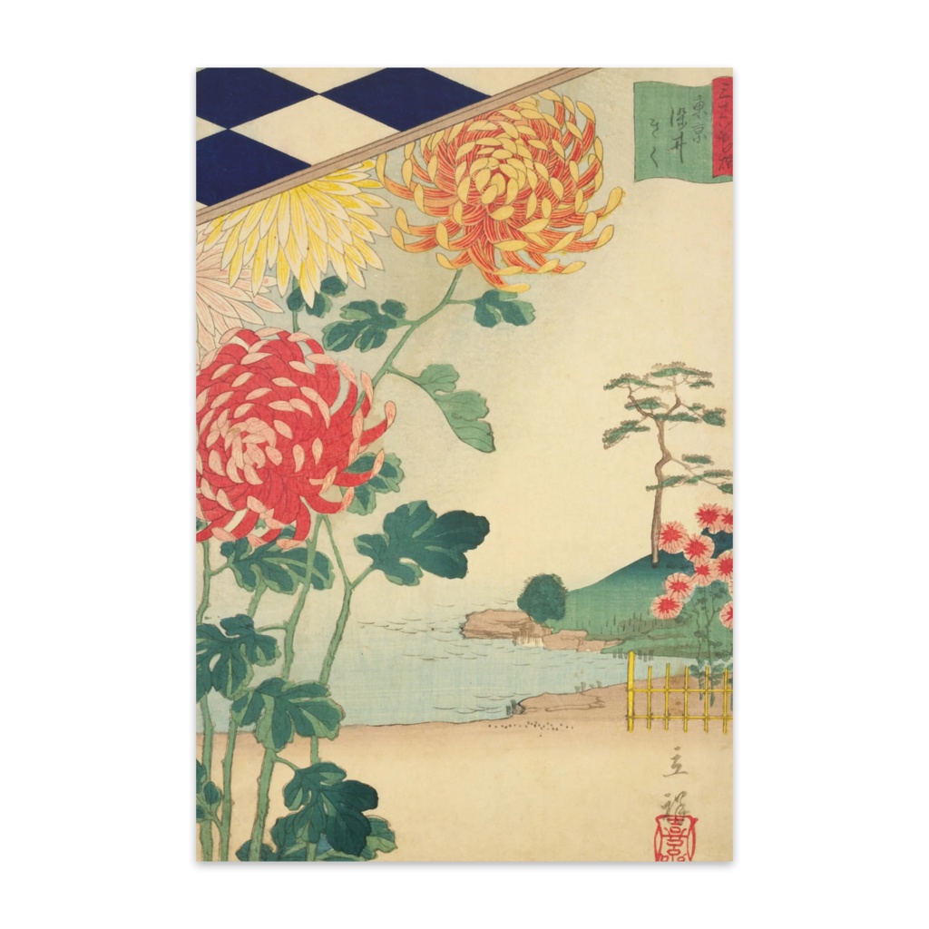 【ポストカード】浮世絵｜歌川広重（２代目）「東京染井きく(三十六花撰)」