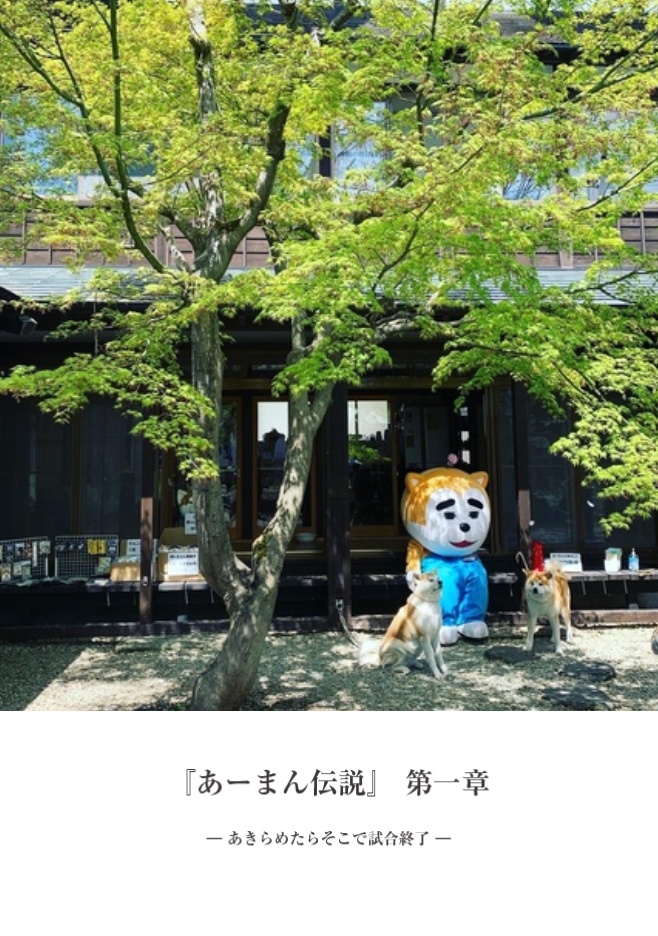 【予約販売/チャリティー対象】2周年記念写真集