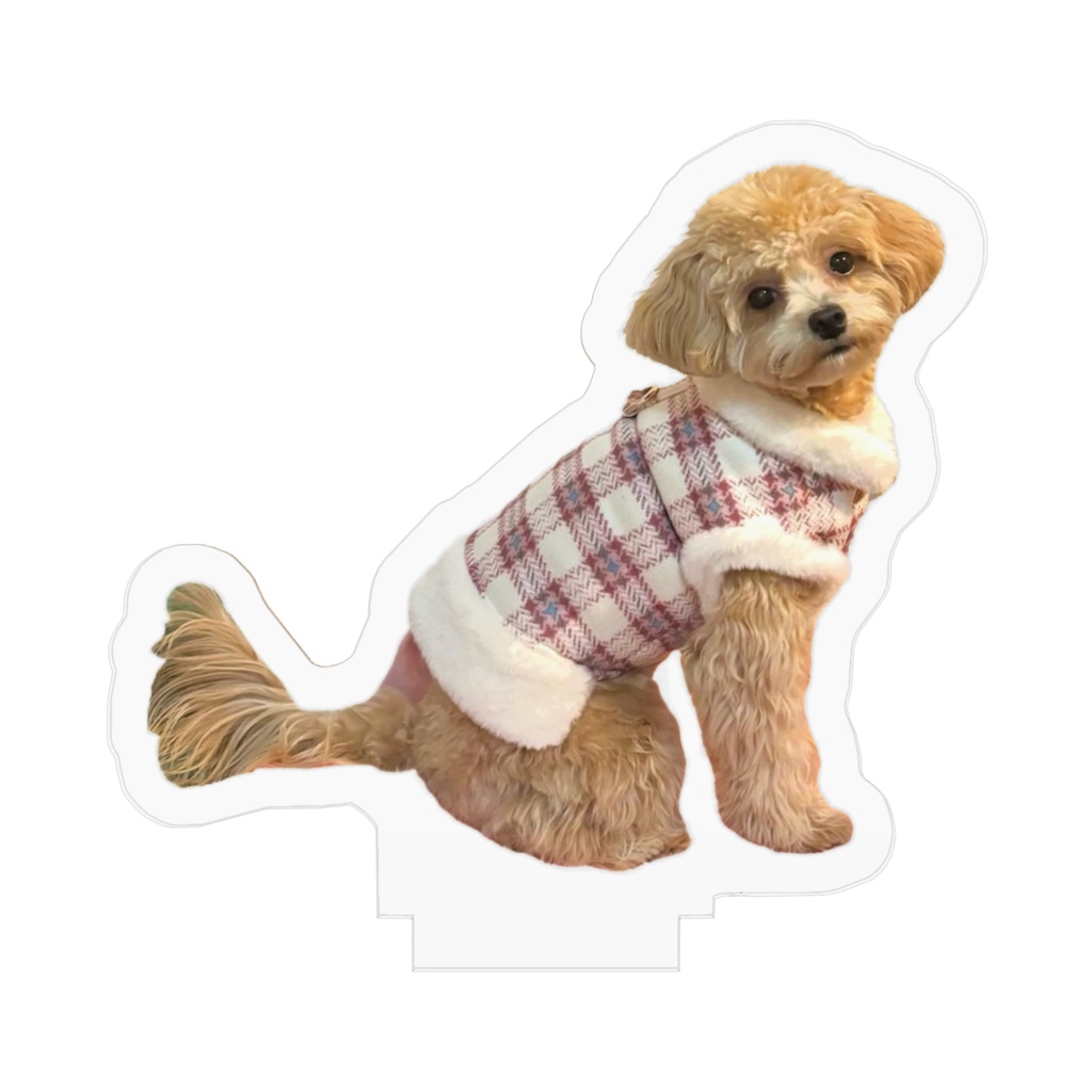 ももちゃんアクスタ(冬ver)