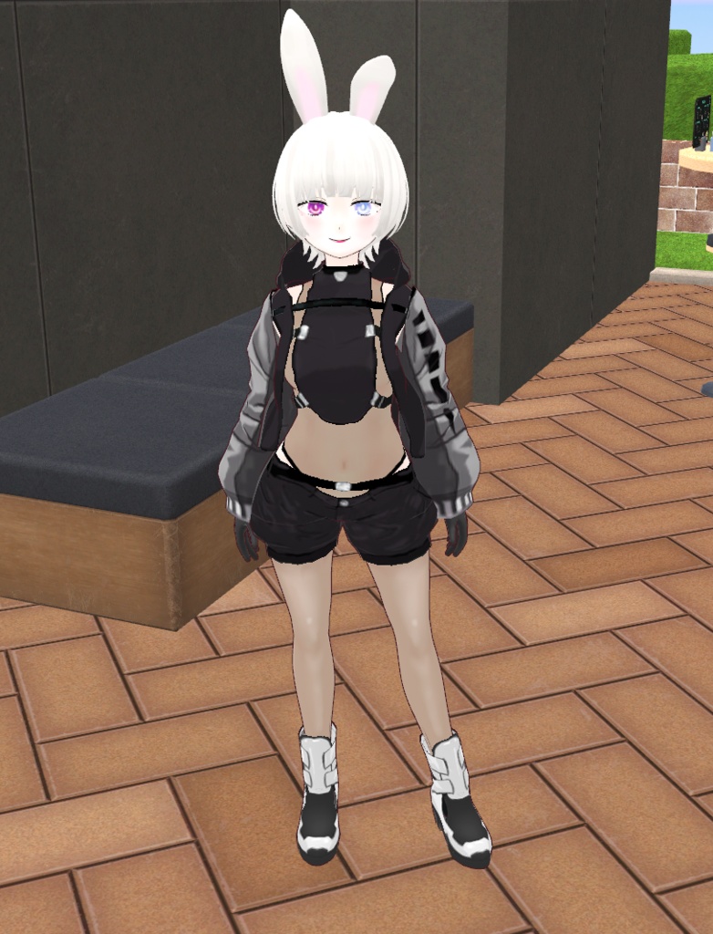 ぬしぴょんの服