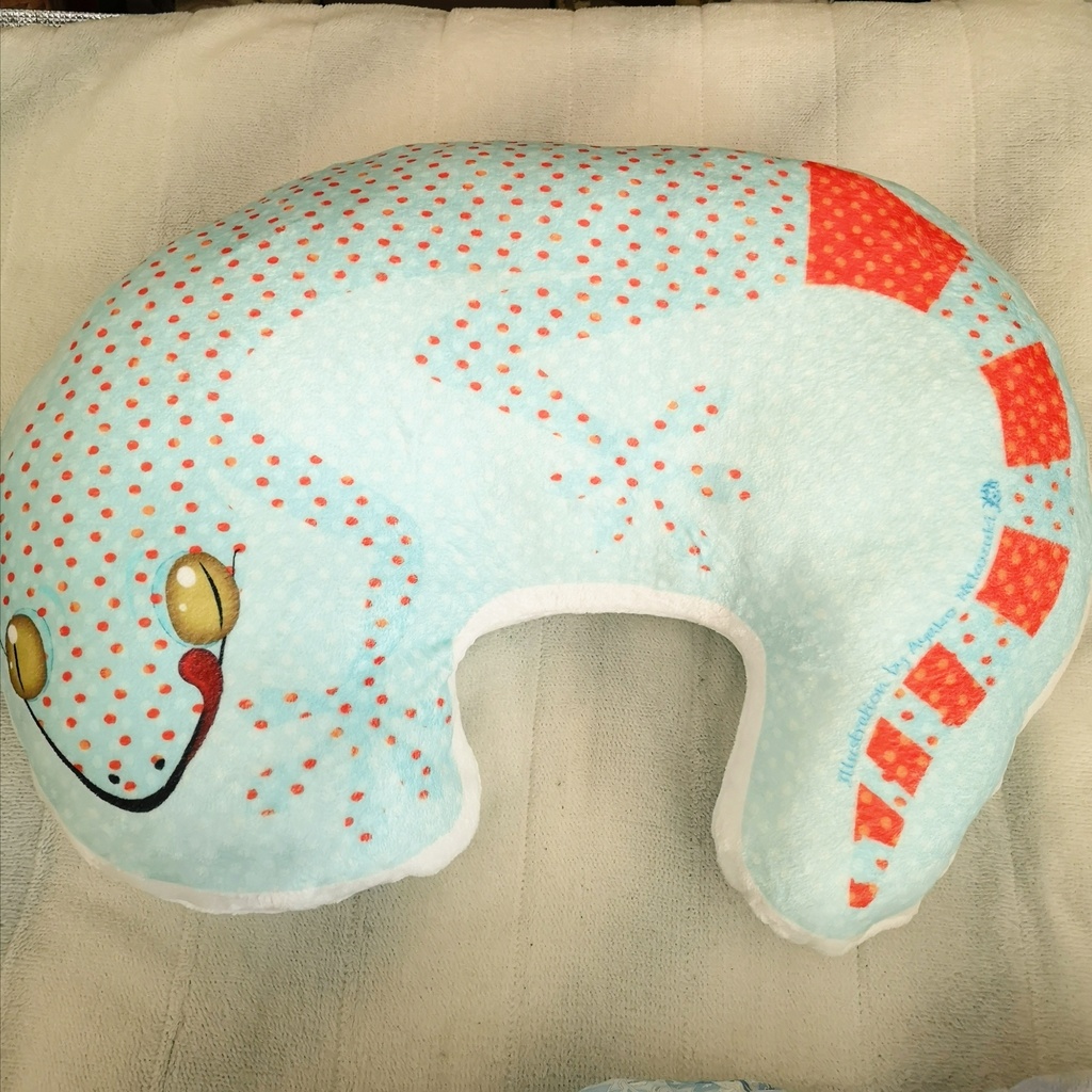 トッケイヤモリの巨大クッション