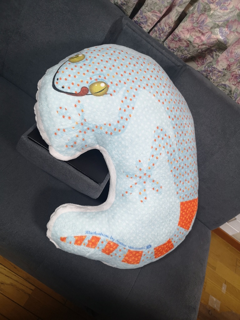 トッケイヤモリの巨大クッション