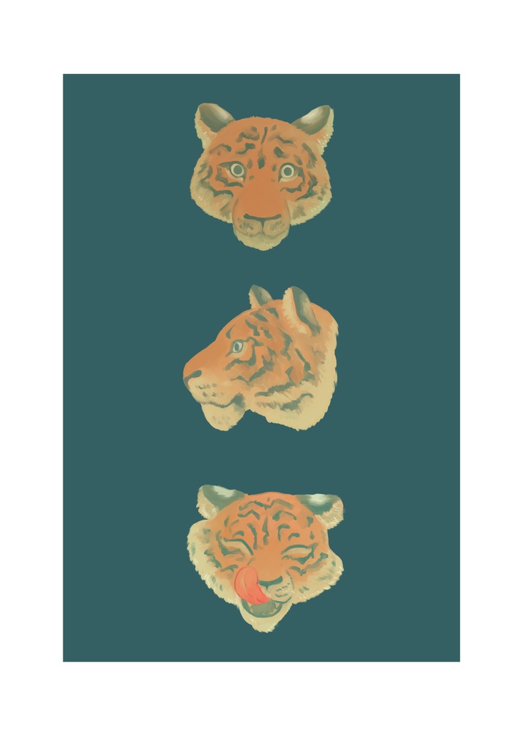 トラ　ポストカード