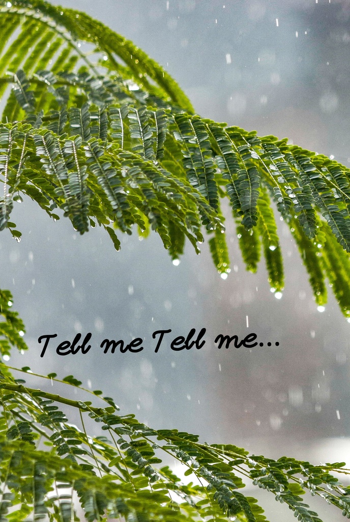 【通常・トニキャプ】Tell me Tell me…