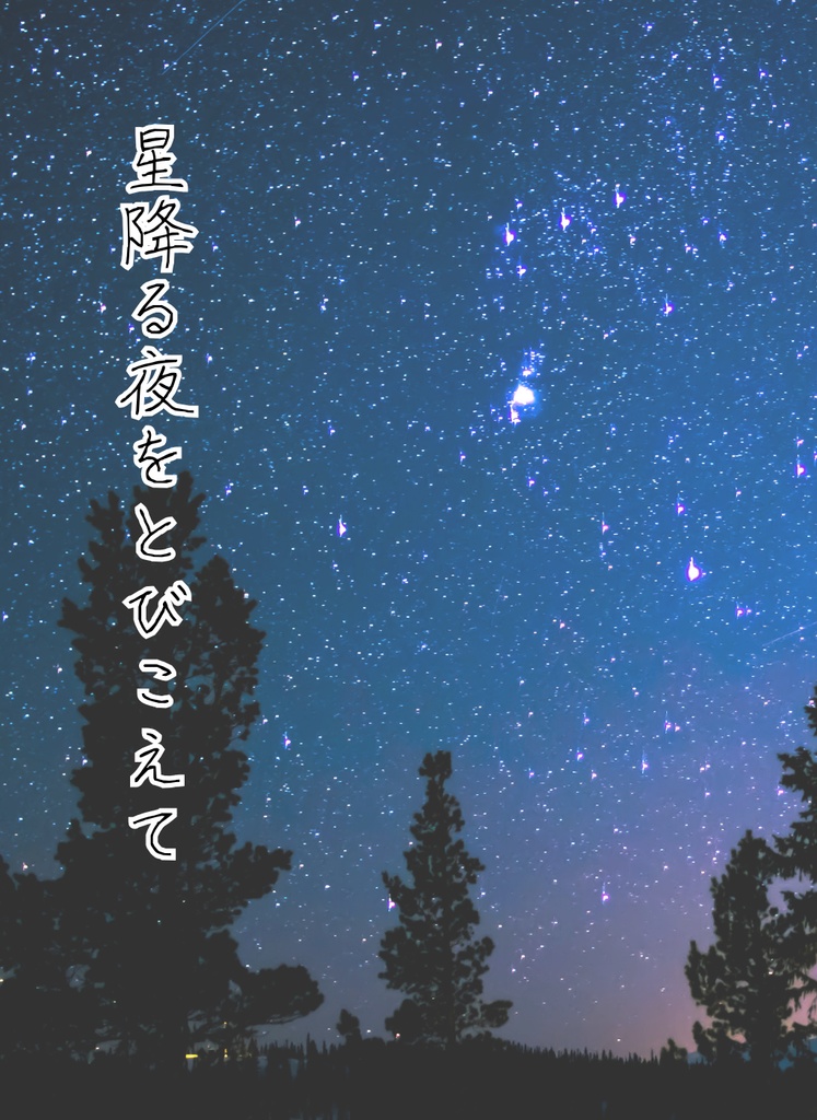 【匿名・十二四】星降る夜をとびこえて