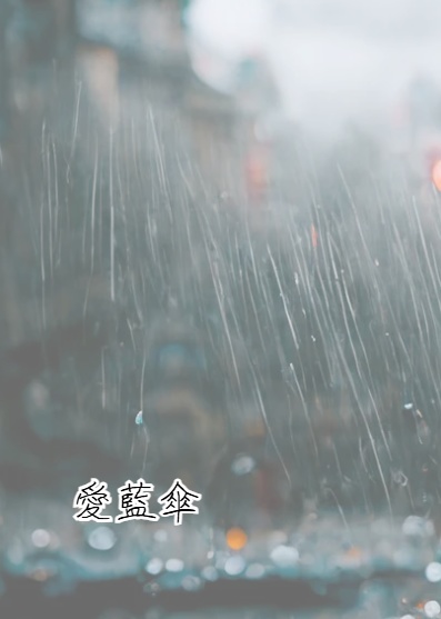 【通常・城砦】愛藍傘