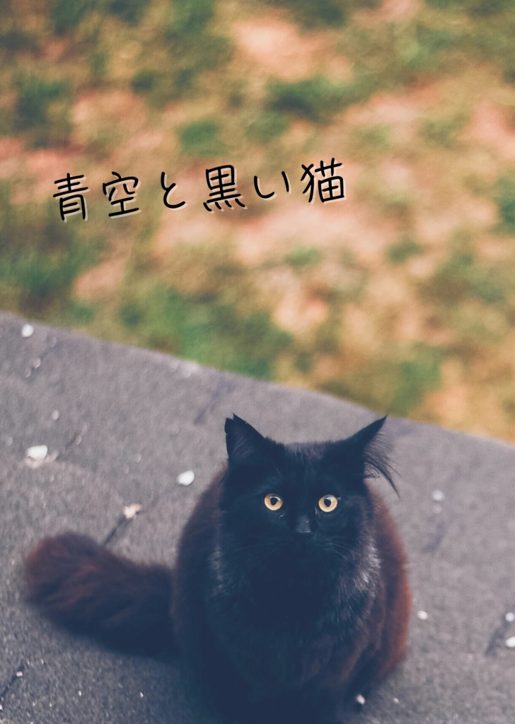 【11月新刊・右四・匿名】青空と黒い猫