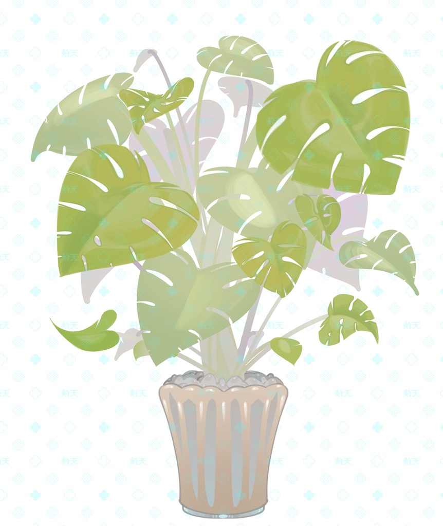 『背景素材』イラスト素材、観葉植物『PNG素材』