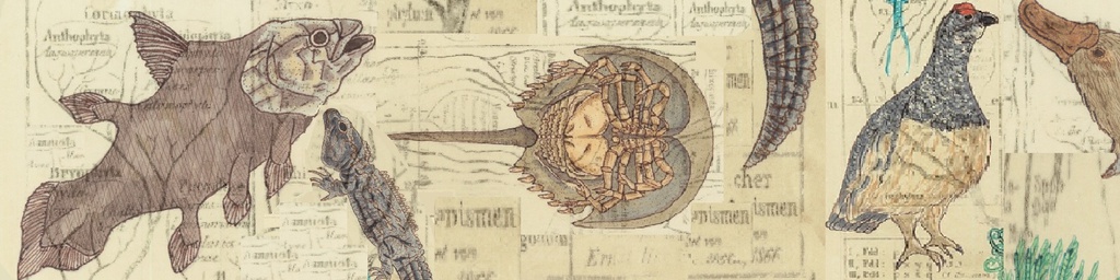 生きた化石マステ
