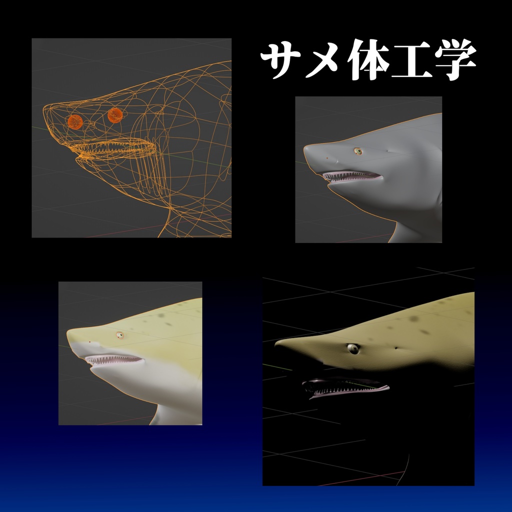 【サメ:シロワニ】のリアル3Dモデル/サメ体工学/全身可動/アゴ射出可動/エラ可動/遊泳アニメーション設定済
