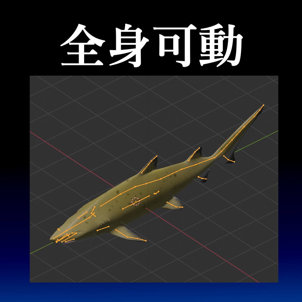 【サメ:シロワニ】のリアル3Dモデル/サメ体工学/全身可動/アゴ射出可動/エラ可動/遊泳アニメーション設定済