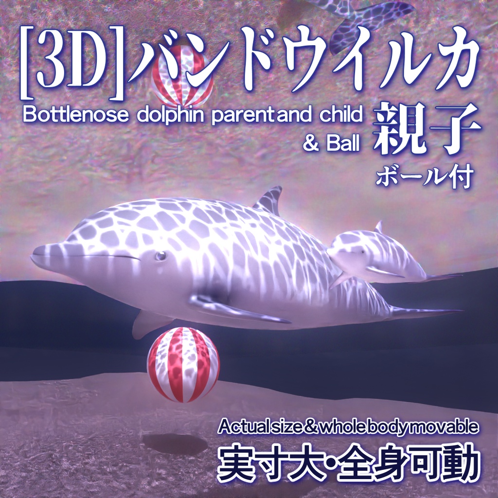 【3D Model】バンドウイルカ親子 Bottlenose dolphin