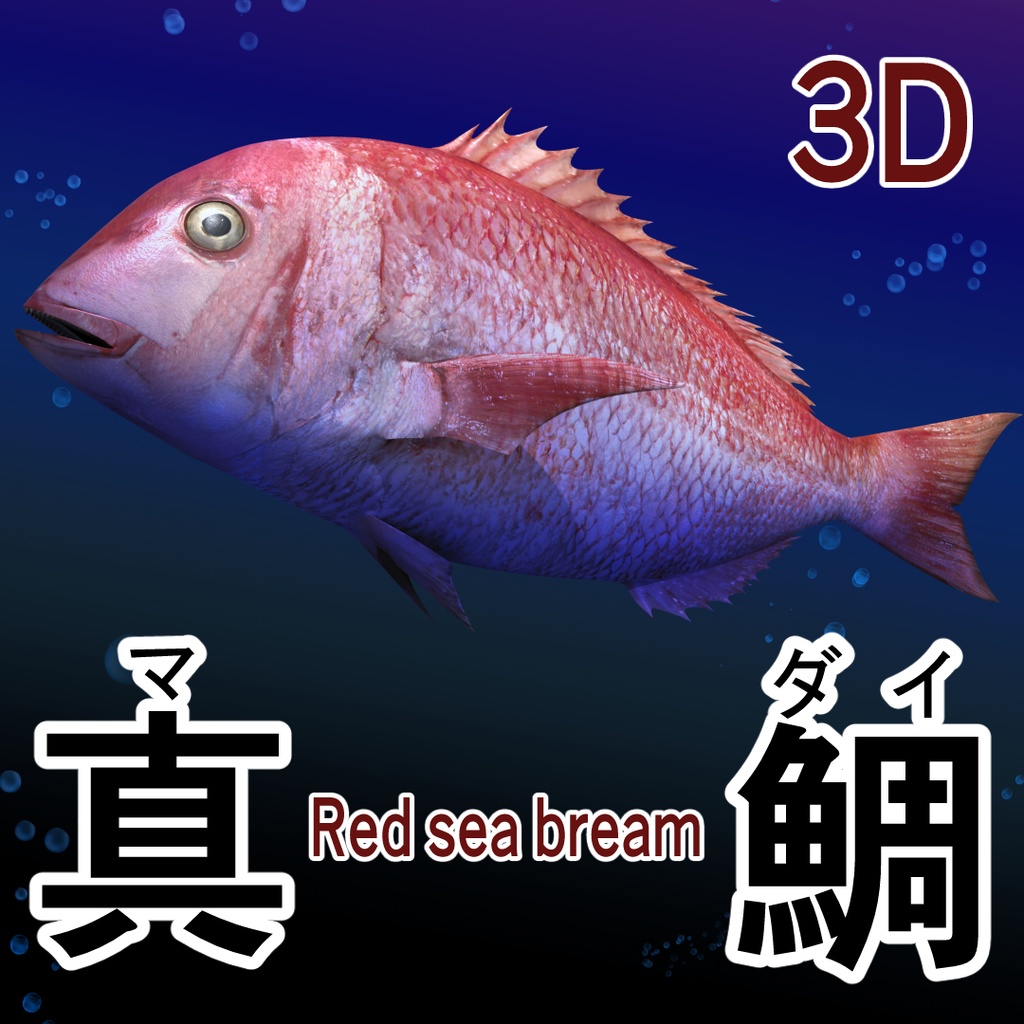 3D真鯛（マダイ／Red sea bream／全身可動／Blender／FBX）