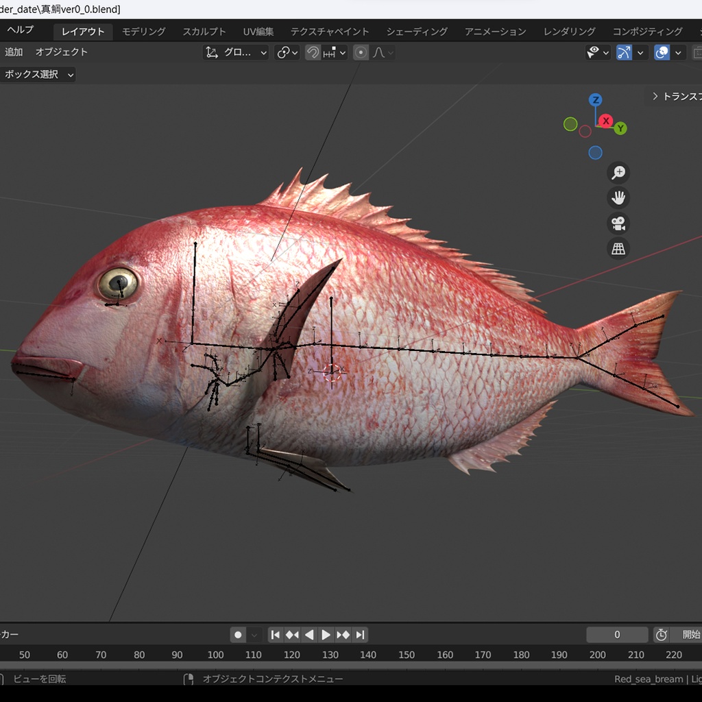 3D真鯛(マダイ/Red sea bream/全身可動/Blender/FBX/お魚シリーズ)