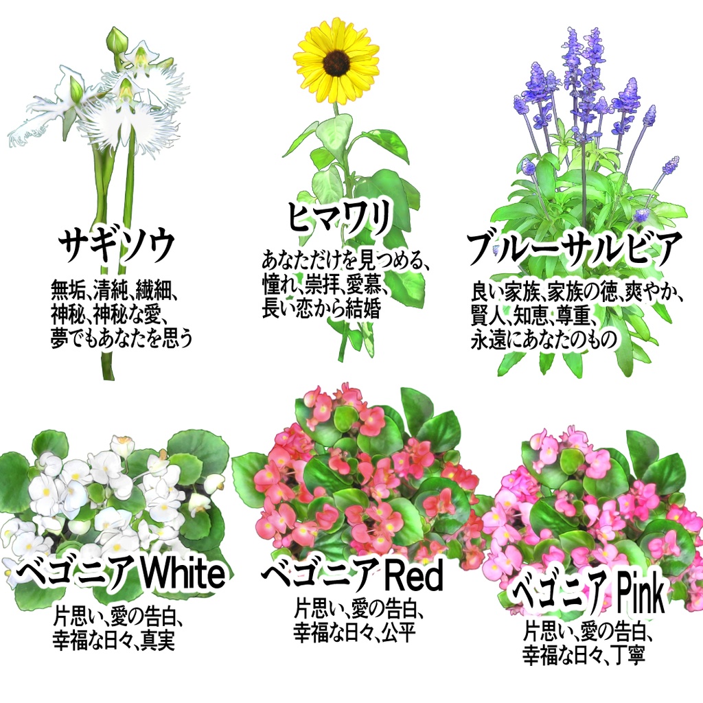 花のイラスト素材集52種(png/背景透過)