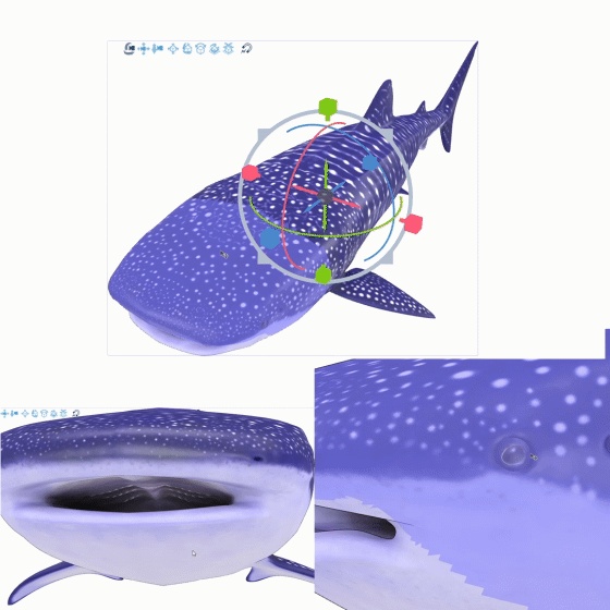 3D ジンベエザメ ver1.0.0 (全身可動/Blender/FBX/サメシリーズ)