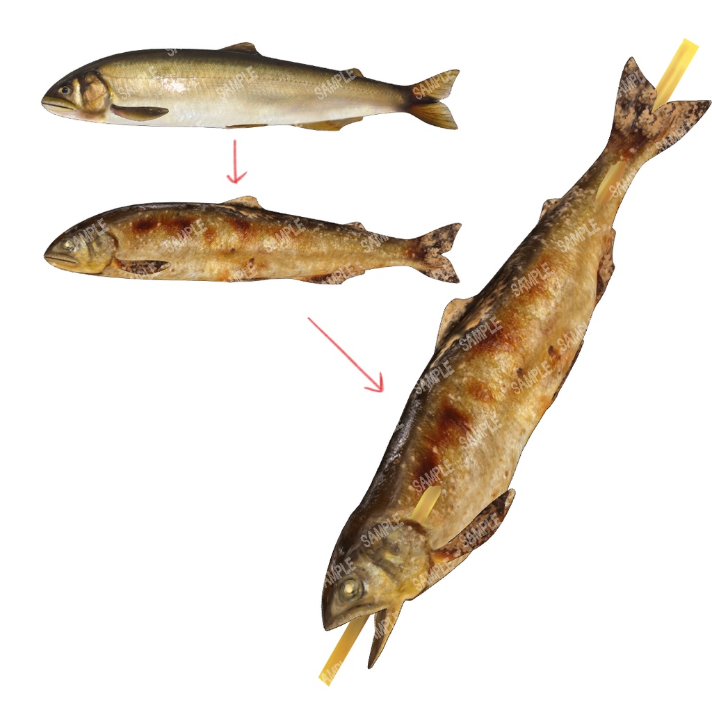 3D鮎(全身可動/リアル/お魚シリーズ/FBX/Blender/CLIPSTUDIO)