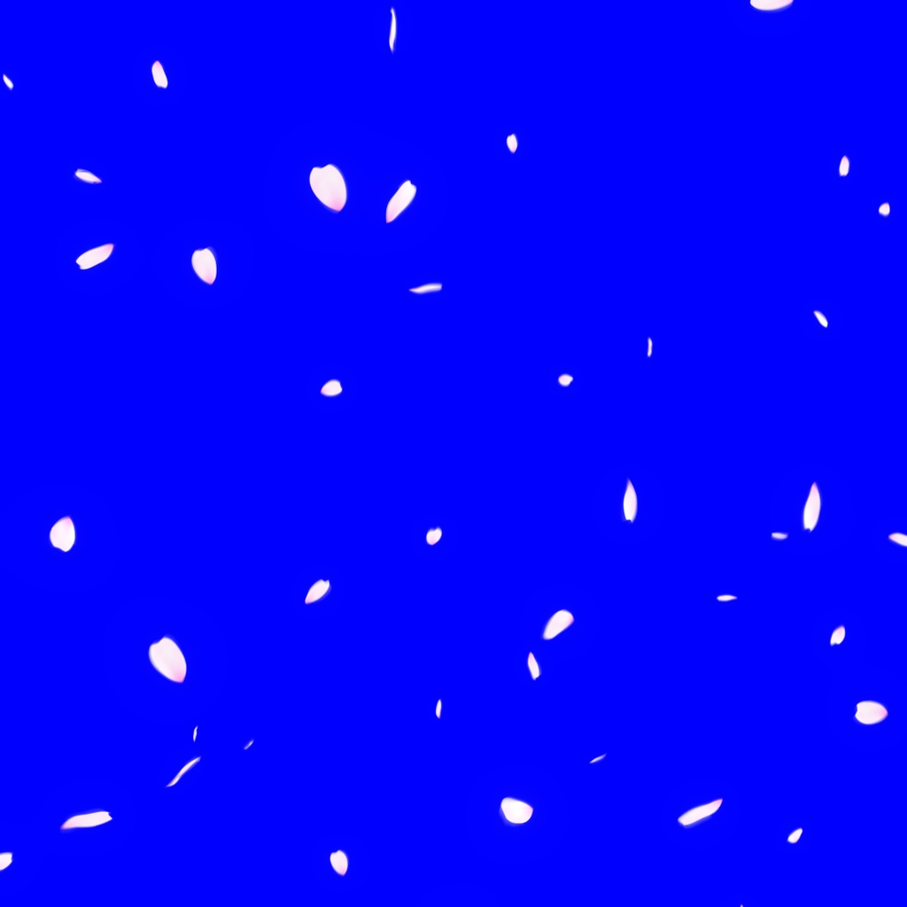 【期間限定割引中】桜アニメ(60秒/ループ/3種類/ブルーバック)【配信・待機・映像制作用】