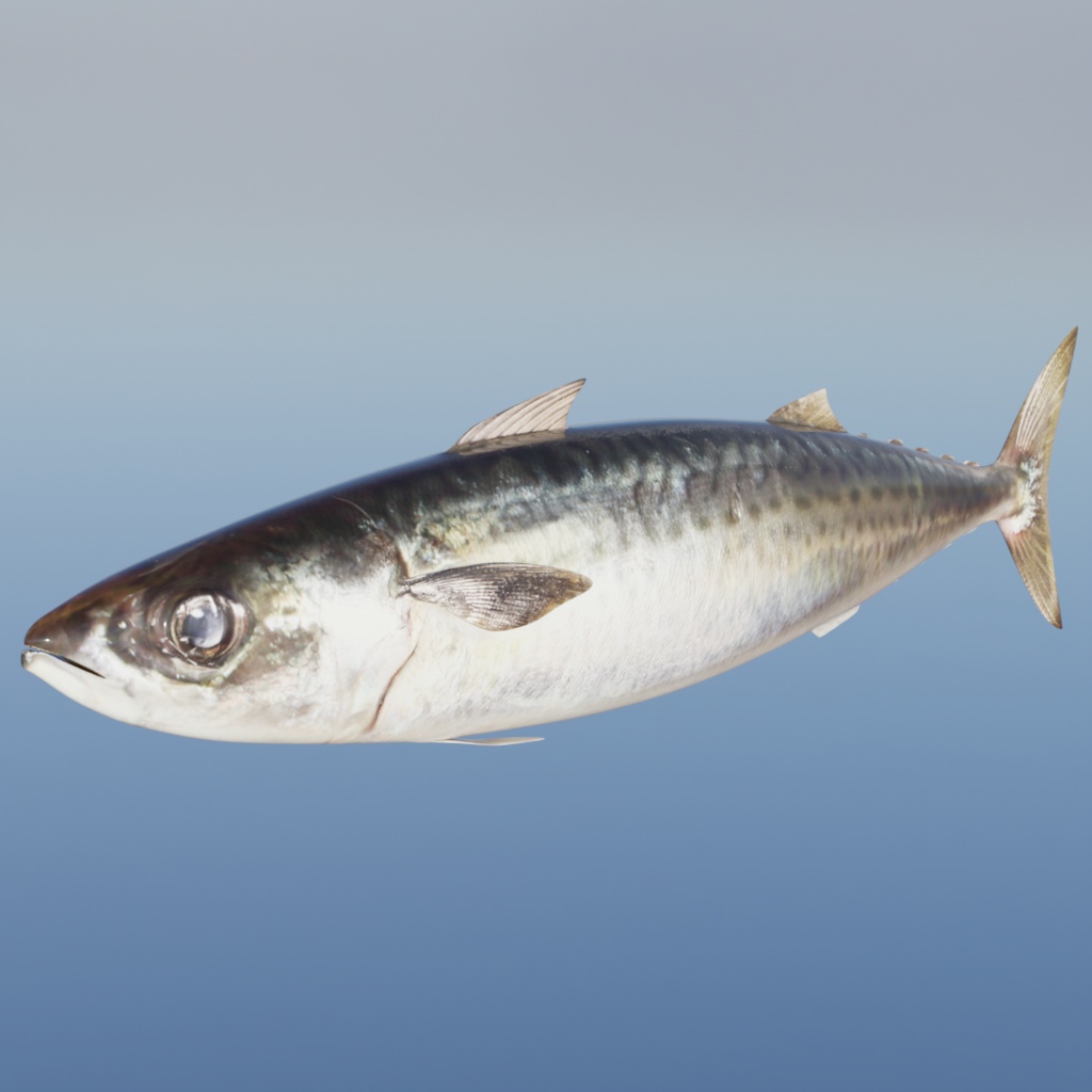 3Dサバ(可動/お魚シリーズ)