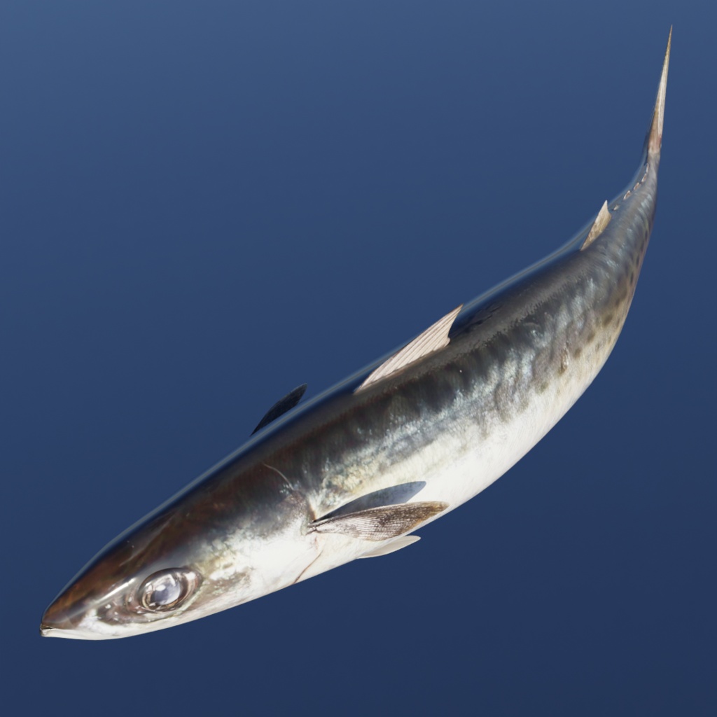 3Dサバ(可動/お魚シリーズ)