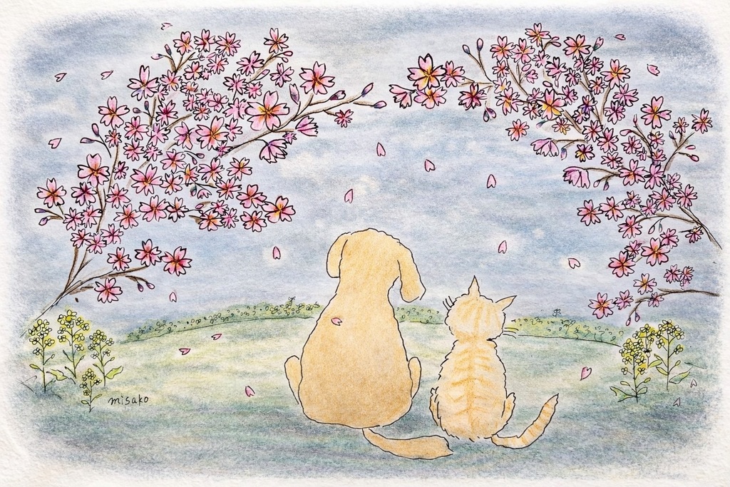 【misako】春を感じて　ポストカード