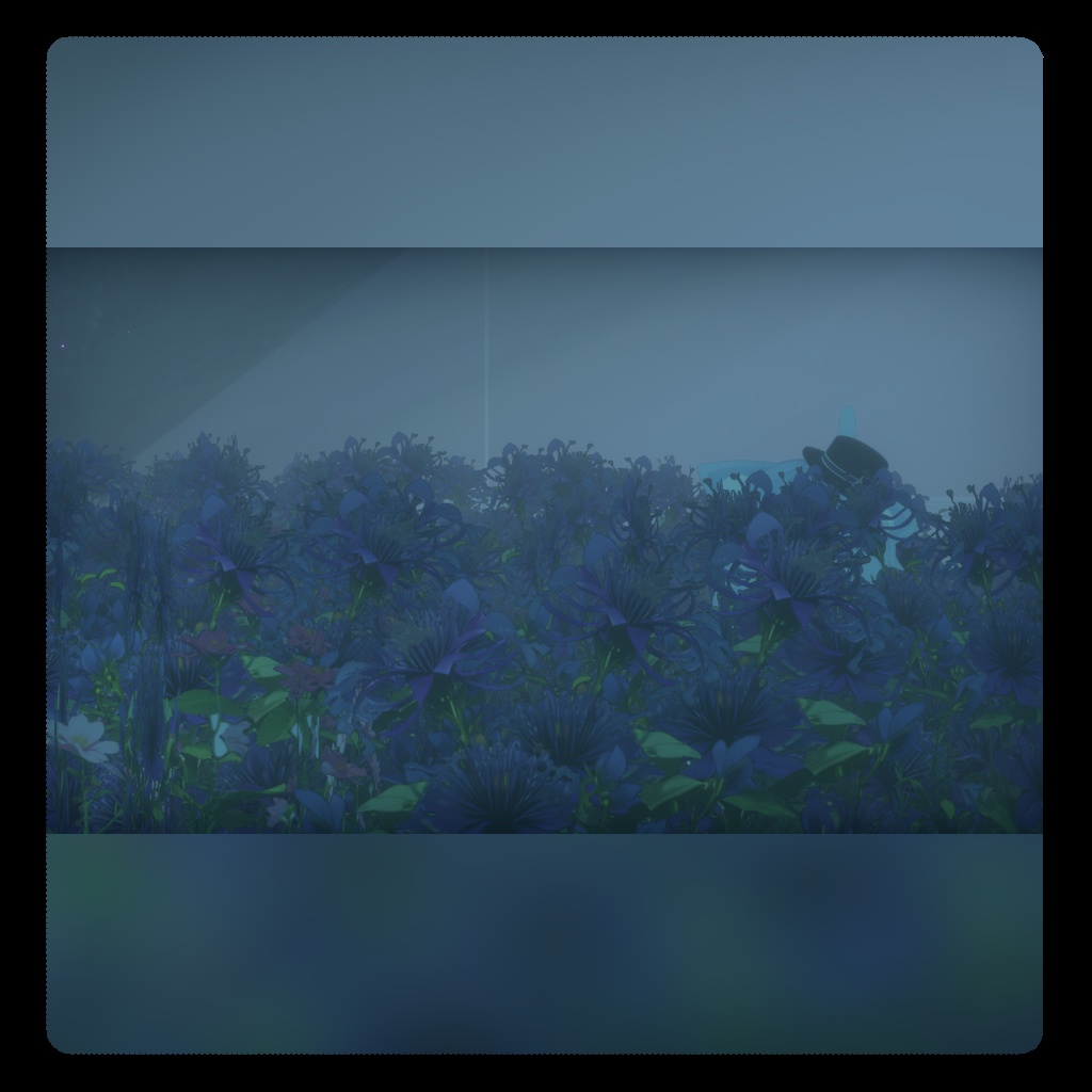 夏っぽい花のフラワーセット