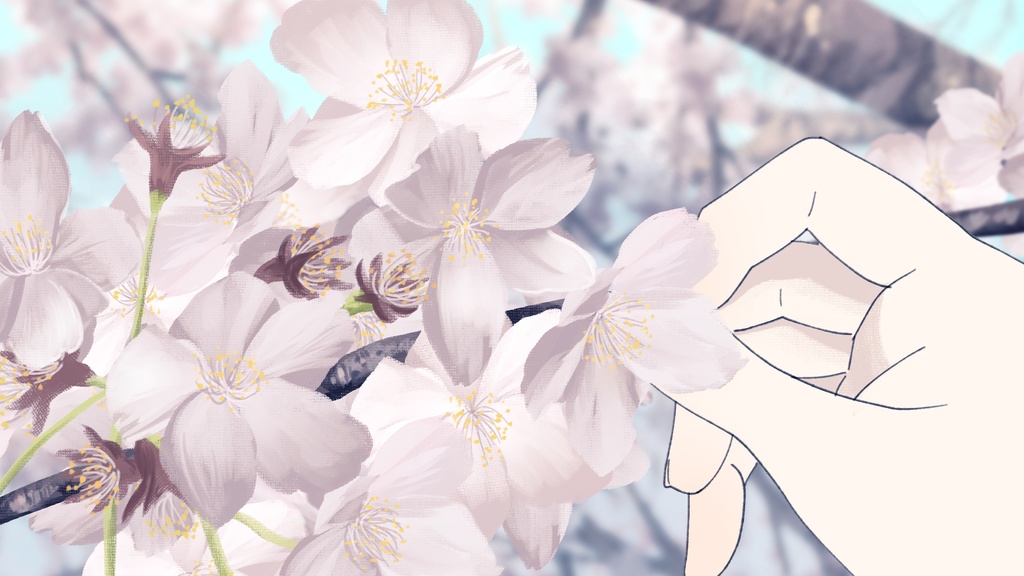 桜02_桜に触れる