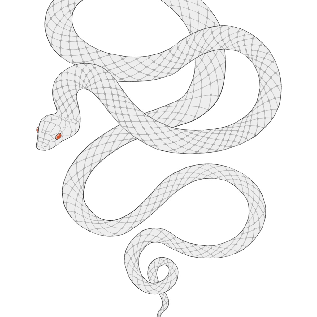 白蛇【透過PNG】