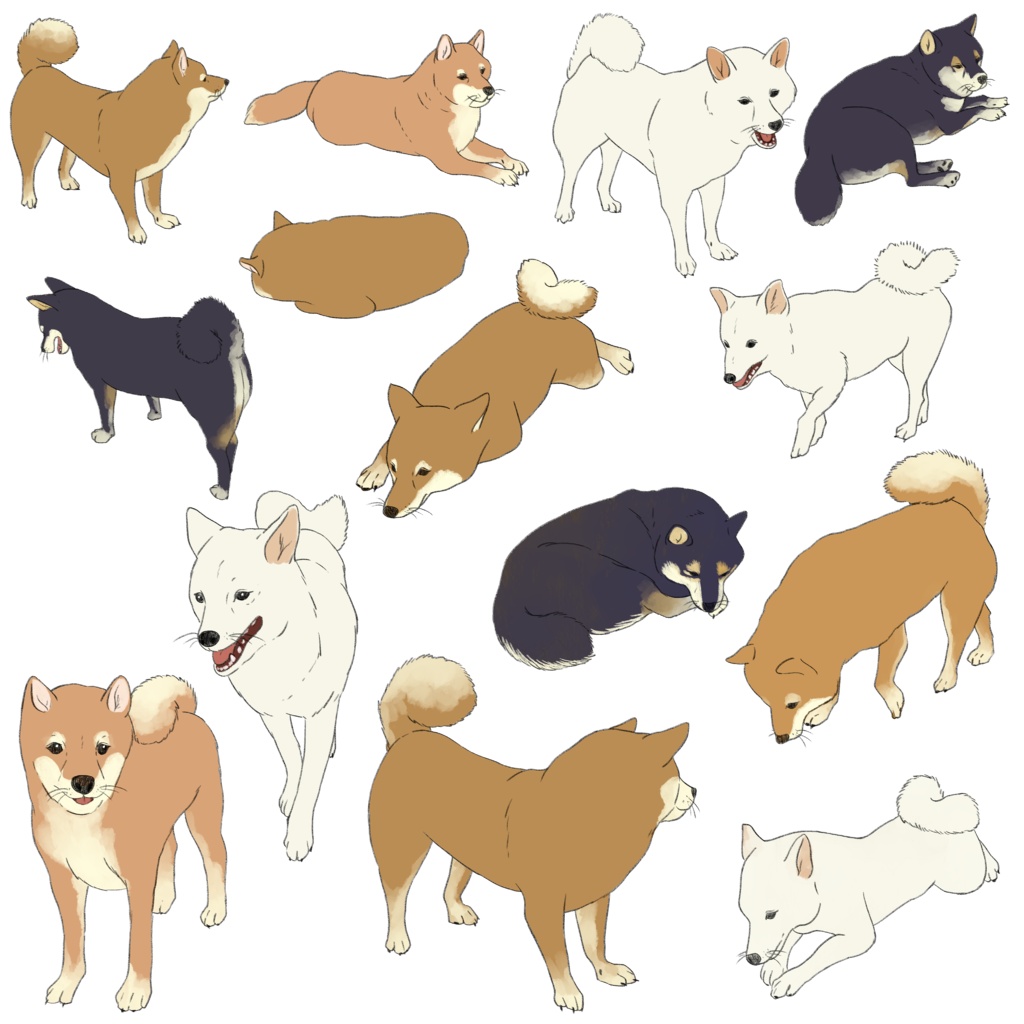 ほっこり柴犬さん【透過素材】