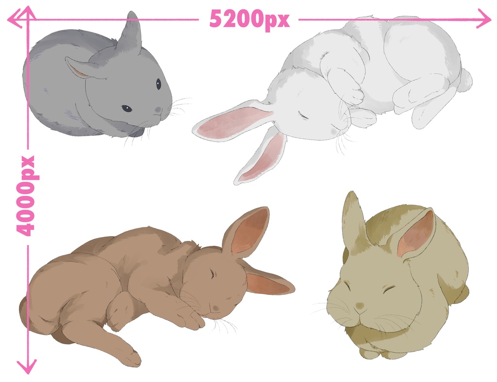 スヤスヤうさぎさん【透過png画像】