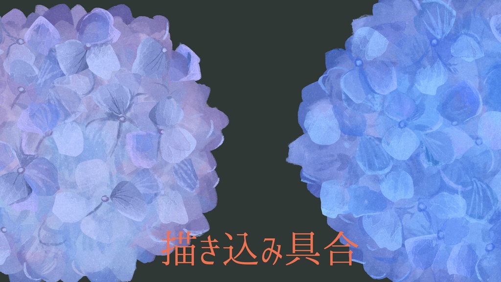 無口な紫陽花さん【透過png】