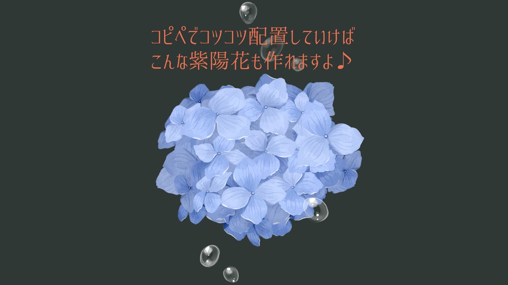紫陽花の小さな花単体+おまけ水滴【透過png】