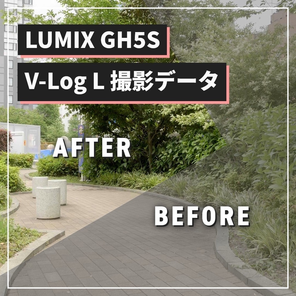 LUMIX GH5S V-Log L 撮影データ