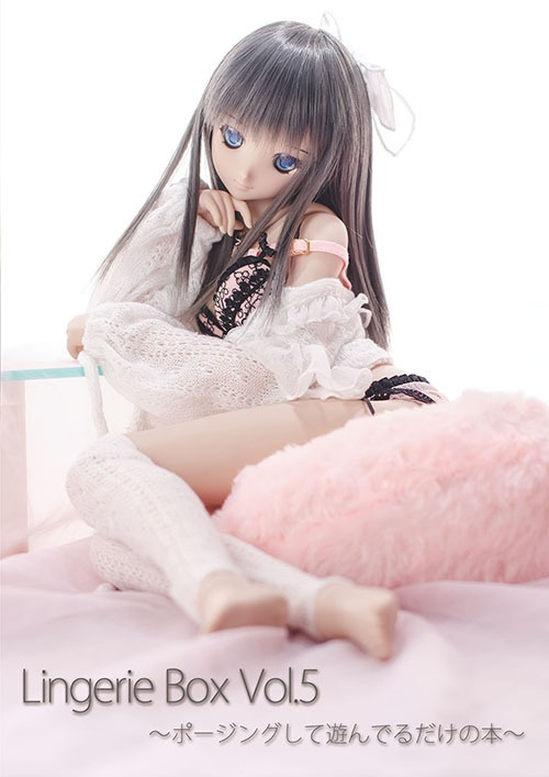 LingerieBox Vol.5～ポージングして遊んでるだけの本～
