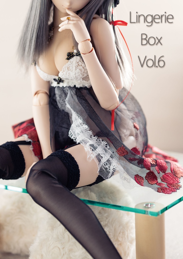 LingerieBox Vol.6