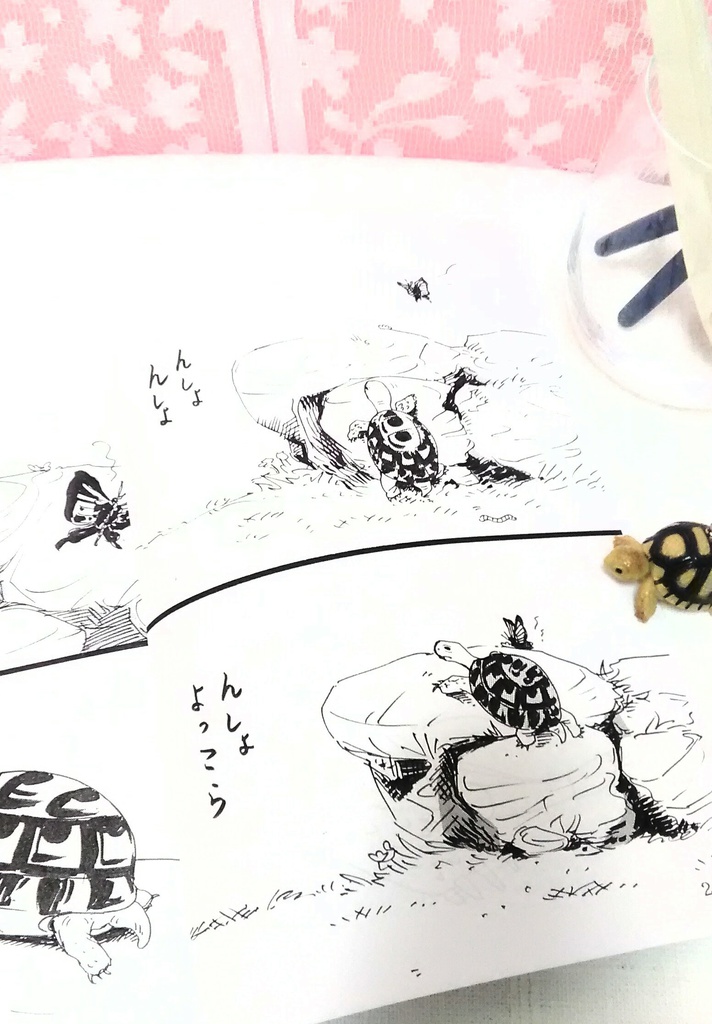 〜THEカメ漫画〜大島安希子の初期短編集(紙本)