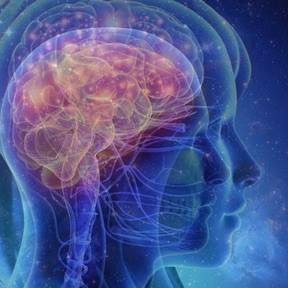 アレルギー・花粉症編｜Allergy · Hay fever.🔴天界とつながるエレメント：Element connected to heavenly world.