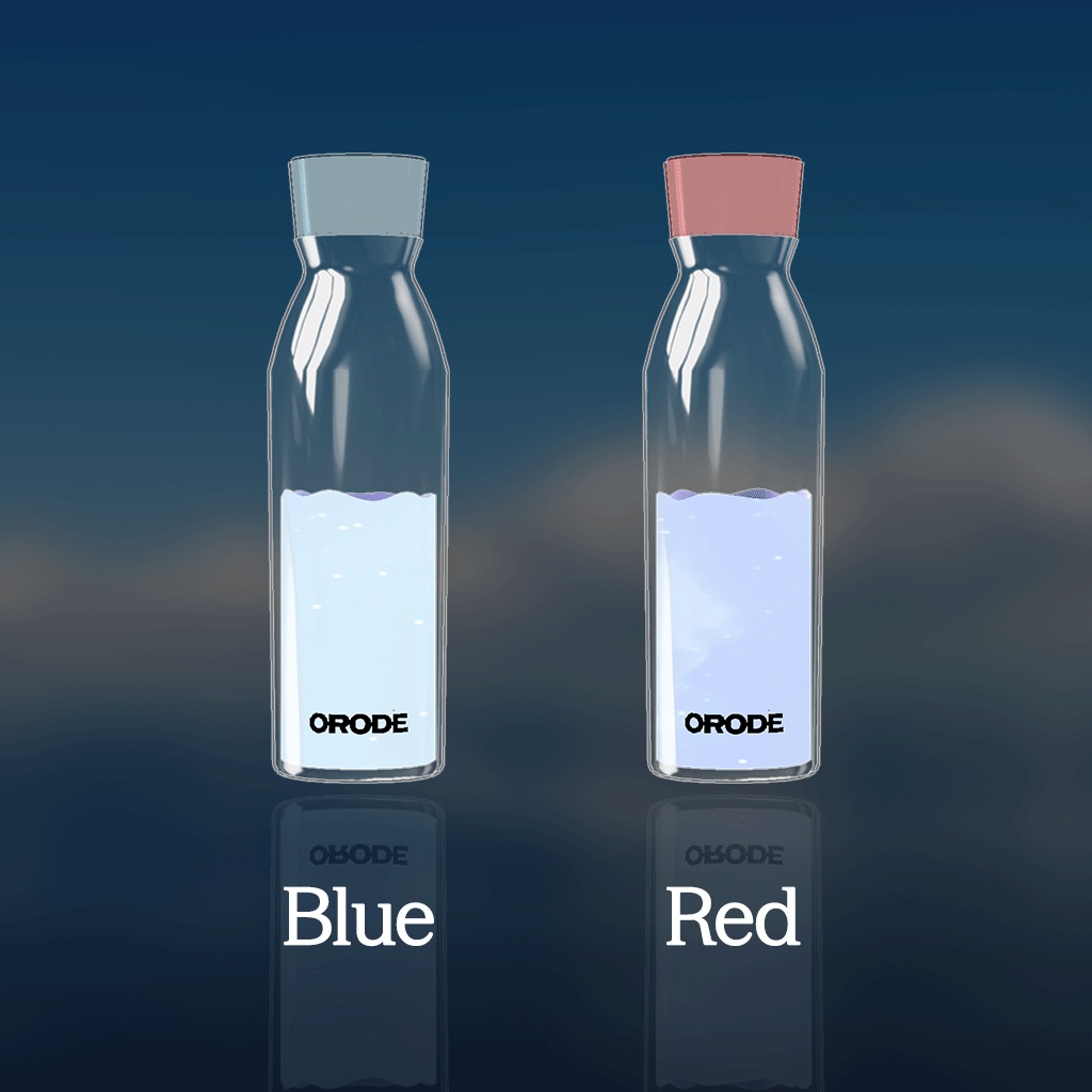 【Warudo Standard】✨FREE✨ Bottle