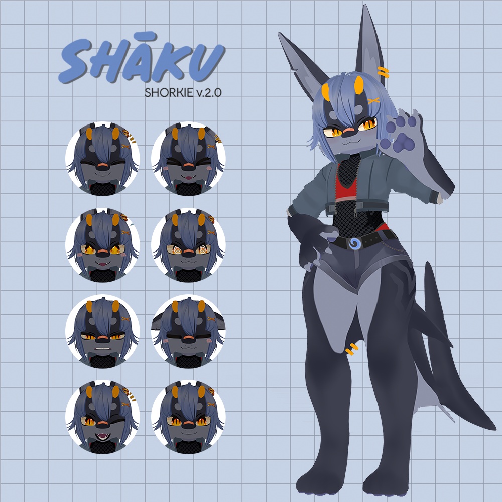 Shaku Sorkie v2.0