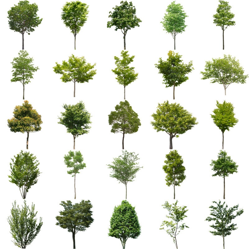 樹木切り抜きPNG素材セット 100個 free_trees_set01