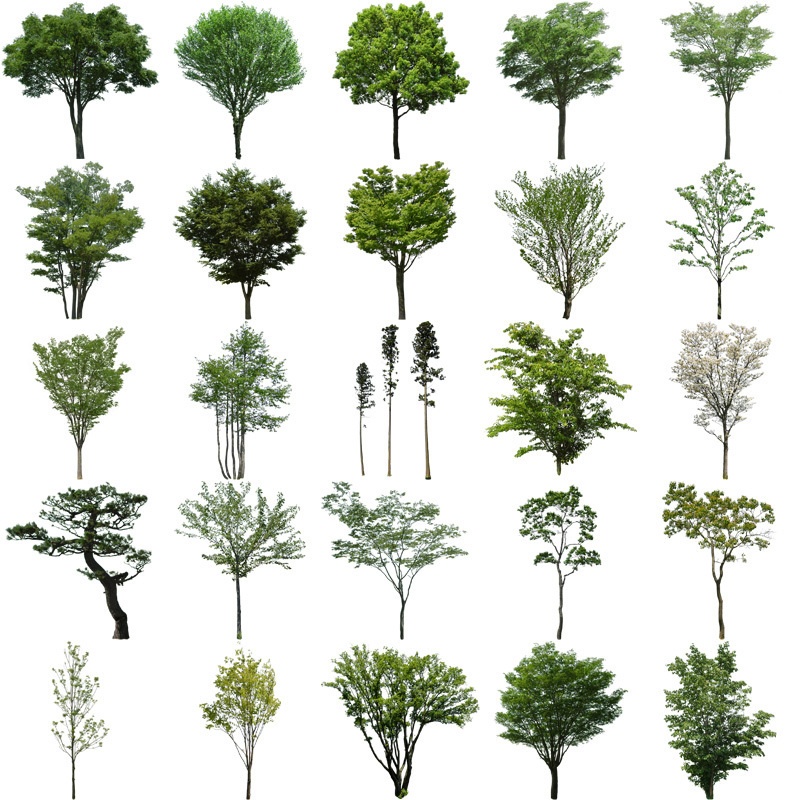 樹木切り抜きPNG素材セット 100個 free_trees_set01