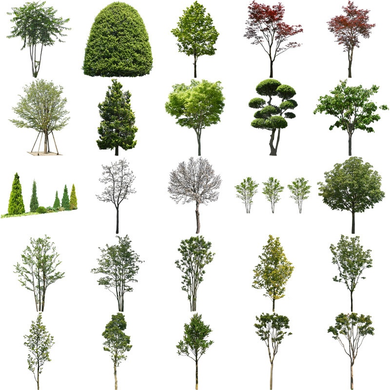 樹木切り抜きPNG素材セット 90個 free_trees_set02
